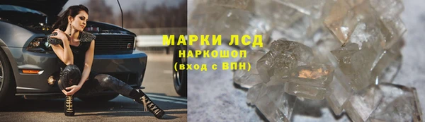 СК Заволжск