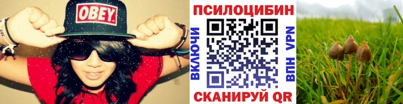 Галлюциногенные грибы GOLDEN TEACHER  darknet как зайти  Канск 